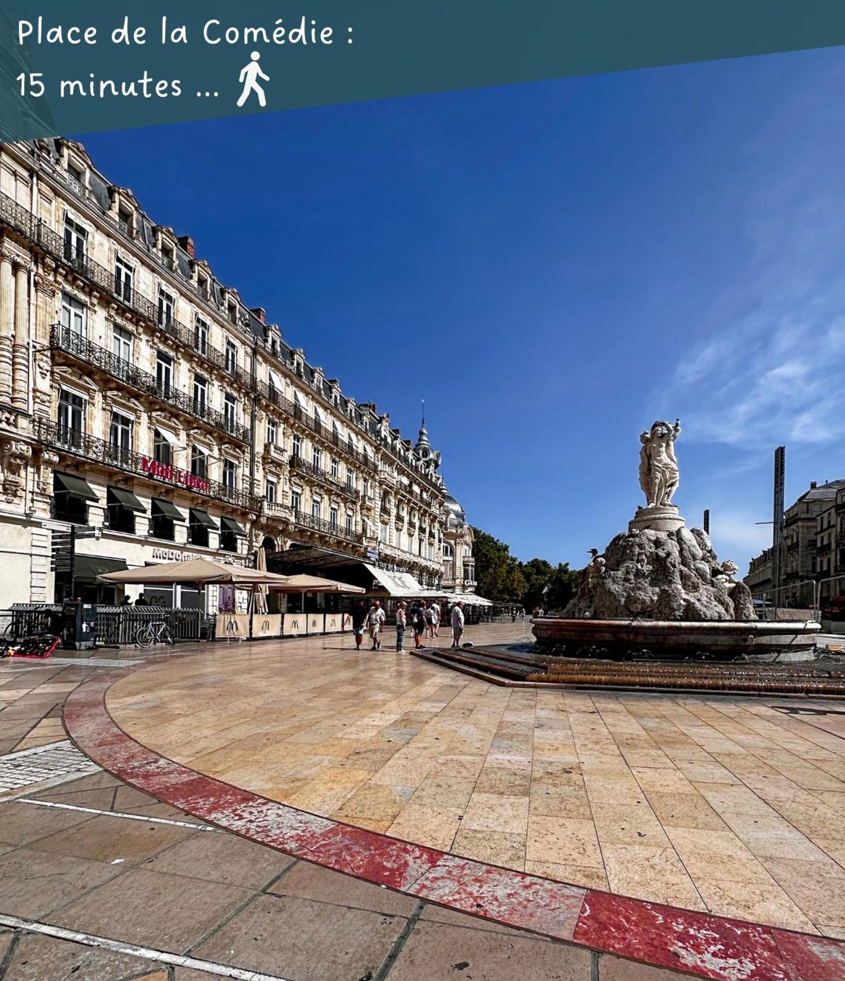Appartement Entier Cosy Avec Balcon - Centre Montpellier Exterior photo
