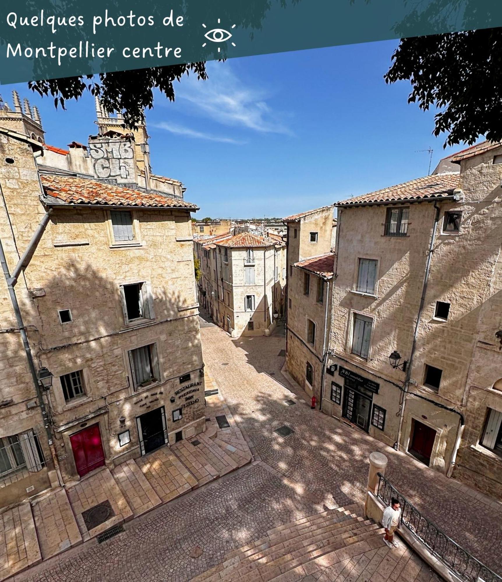 Appartement Entier Cosy Avec Balcon - Centre Montpellier Exterior photo